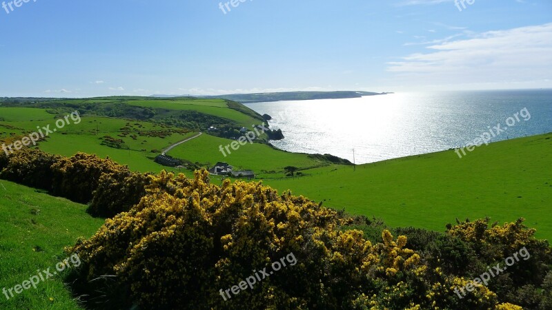 Wales Coast Flower Travel Free Photos