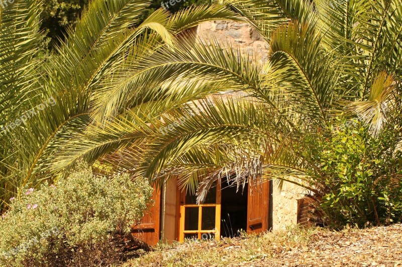 Accommodation Vacations Mediterranean Still Life Palm Trees