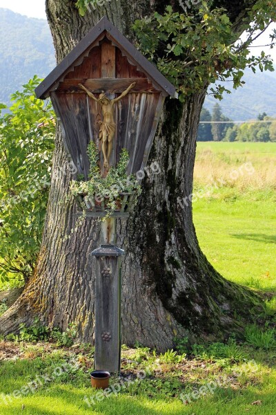 Tree Wayside Cross Cross Wooden Cross Memory