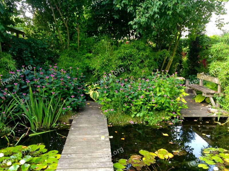 Water Water Lilies Garden Green Dust