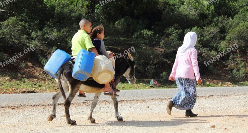 Donkey Riding Poor Road Africa