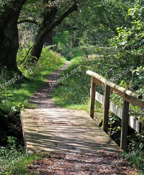 Bridge Web Boardwalk Transition Water