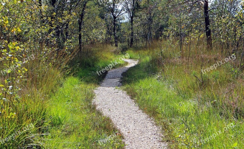 Recovery Leisure Away Path Promenade