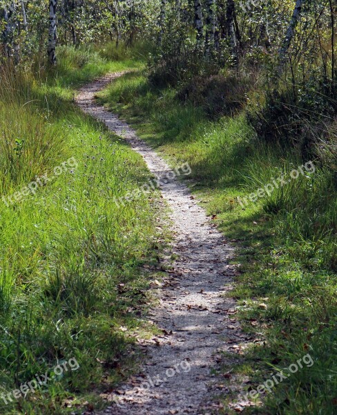 Recovery Leisure Away Path Promenade