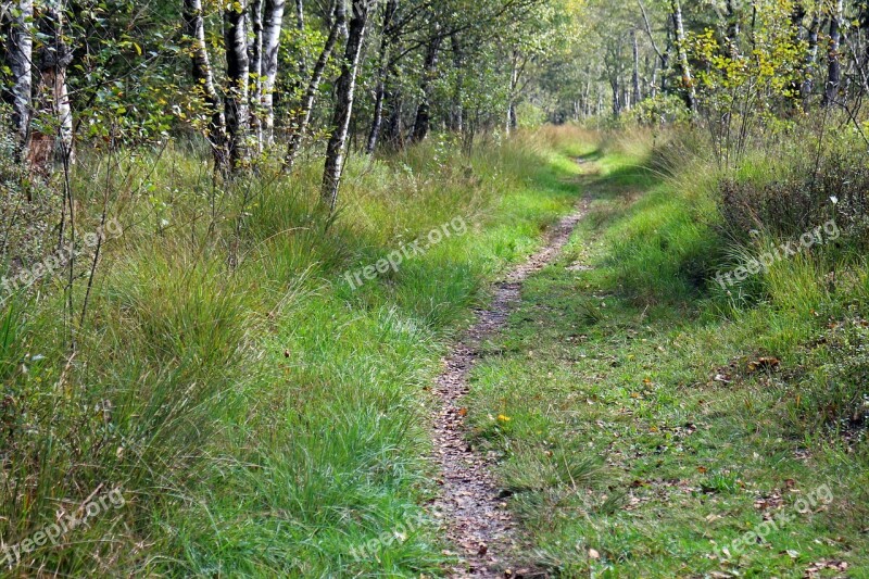 Recovery Leisure Away Path Promenade