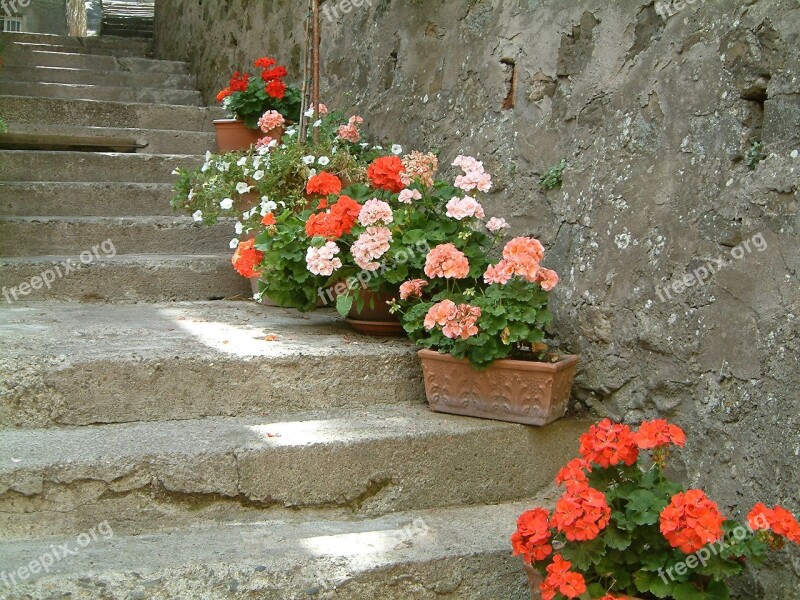 Stairs Tuscany Stones Holiday Free Photos