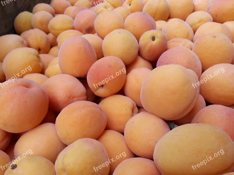 Apricot Fruit Health Healthy Juicy