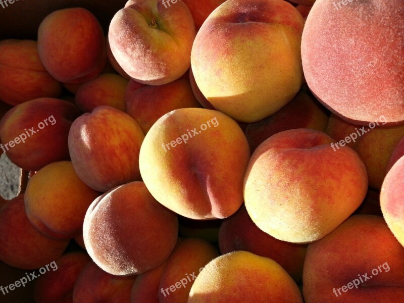 Peaches Fruit Tree-ripened Ripe Nature