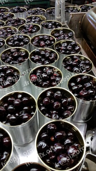 Cherry Produce Food Canning Processing