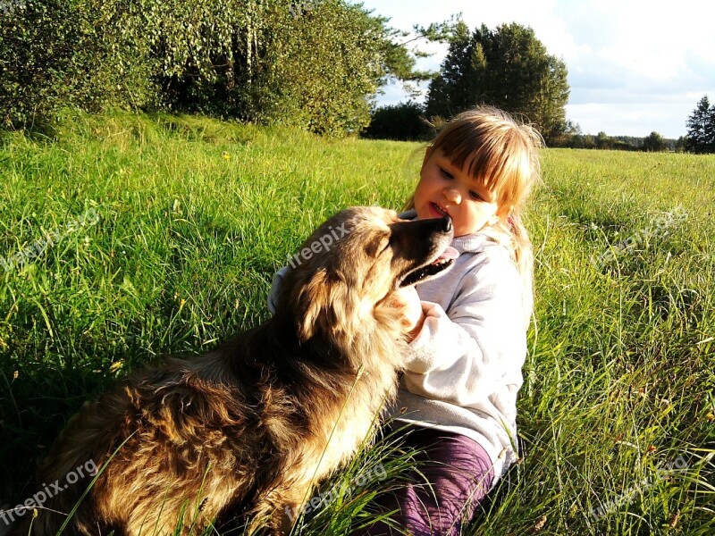 Child The Little Girl Dog The Sun Grass