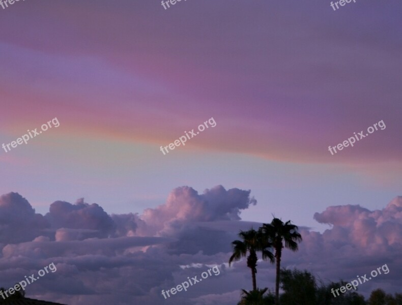 Clouds Palm Trees At Night Landscape