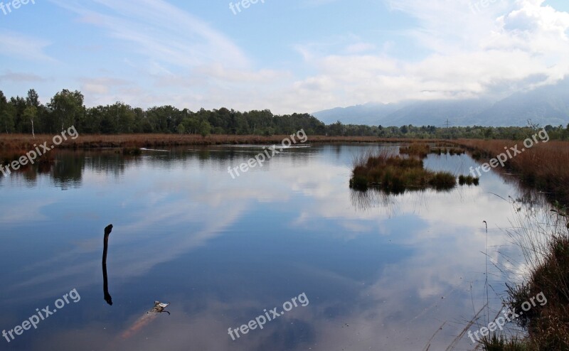 Landscape Heide Moor Swamp Nature