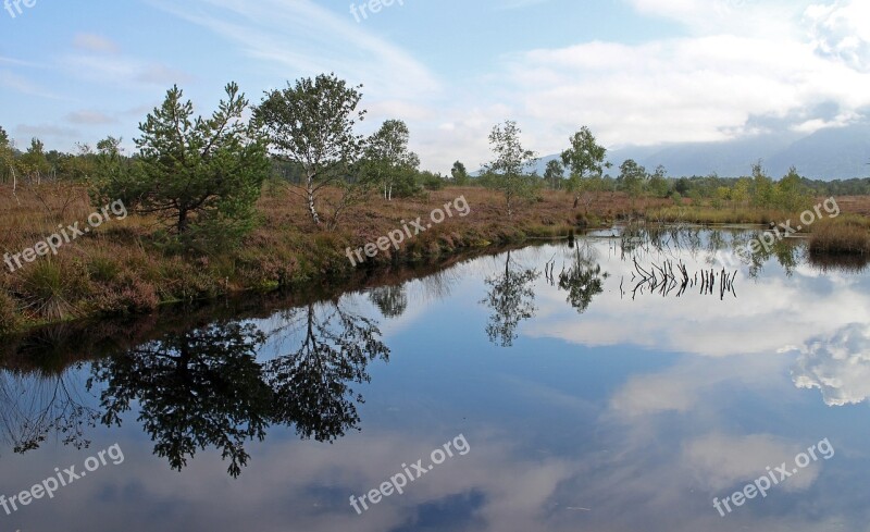 Landscape Heide Moor Swamp Nature