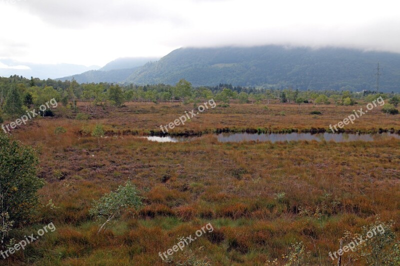 Landscape Heide Moor Swamp Nature