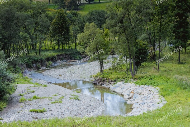 Torrent River The Stones Tree The Brook