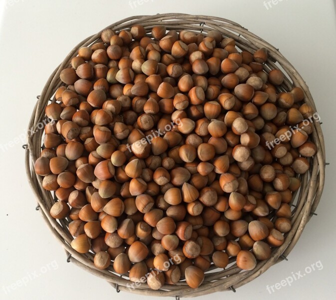 Hazelnuts Basket Nuts Food Eat