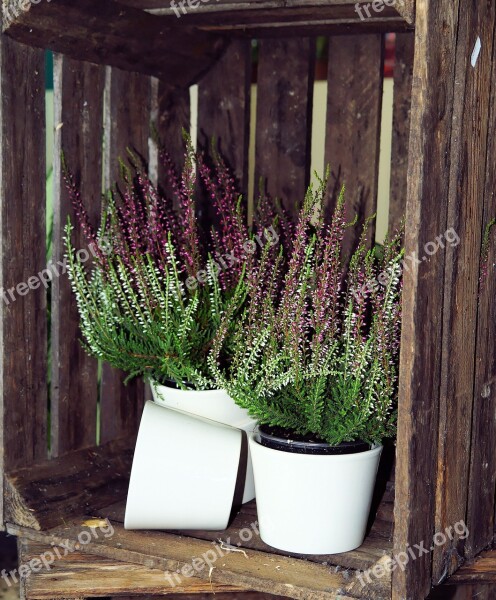 Wooden Box Heather Flower Pots Still Life Decoration