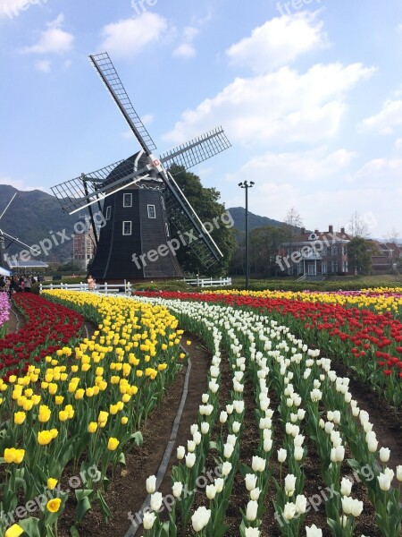 Wind Turbine Spring Natural Free Photos