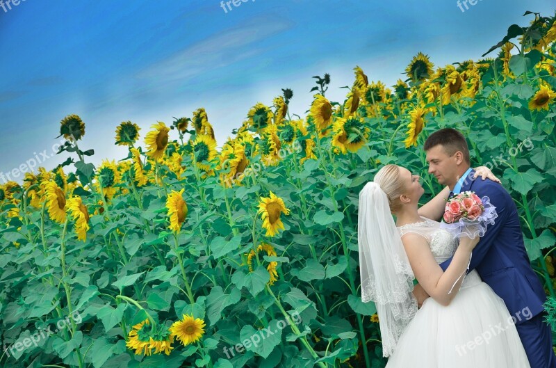 Wedding Memories Couple Sunflower Field Sunflowers