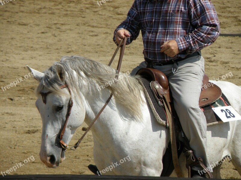 Horse Rider Races Portrait Western