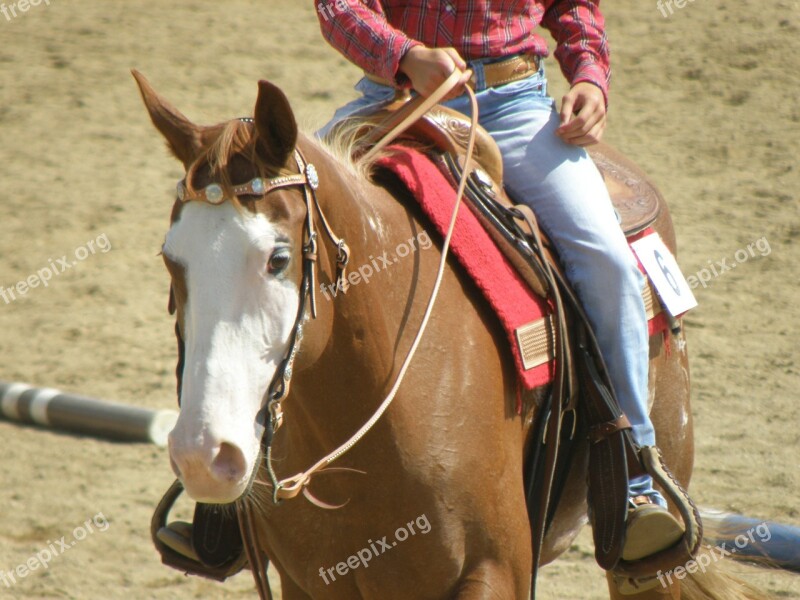 Horse Rider Races Portrait Western