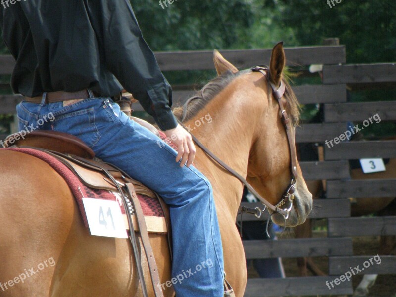 Horse Rider Races Portrait Western