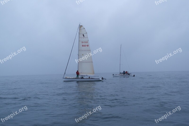 Sailing Regatta Lausanne Lsa Free Photos