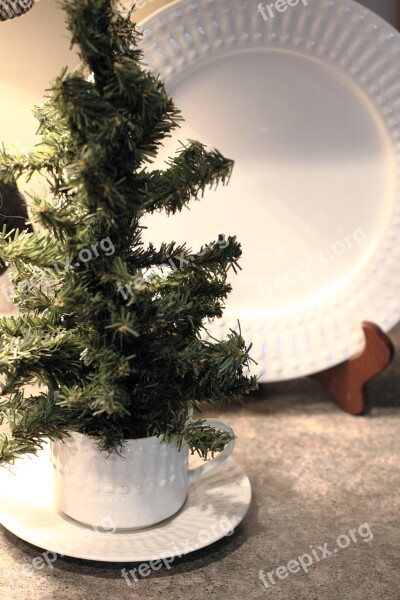 Christmas Pine Tree Winter Decoration