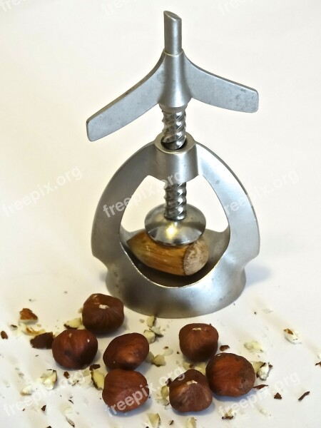 Nutcracker Nuts Hazelnuts Fine Christmas Time