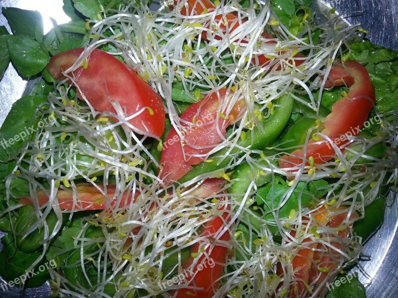 Salad Alfalfa Tomato Watercress Free Photos