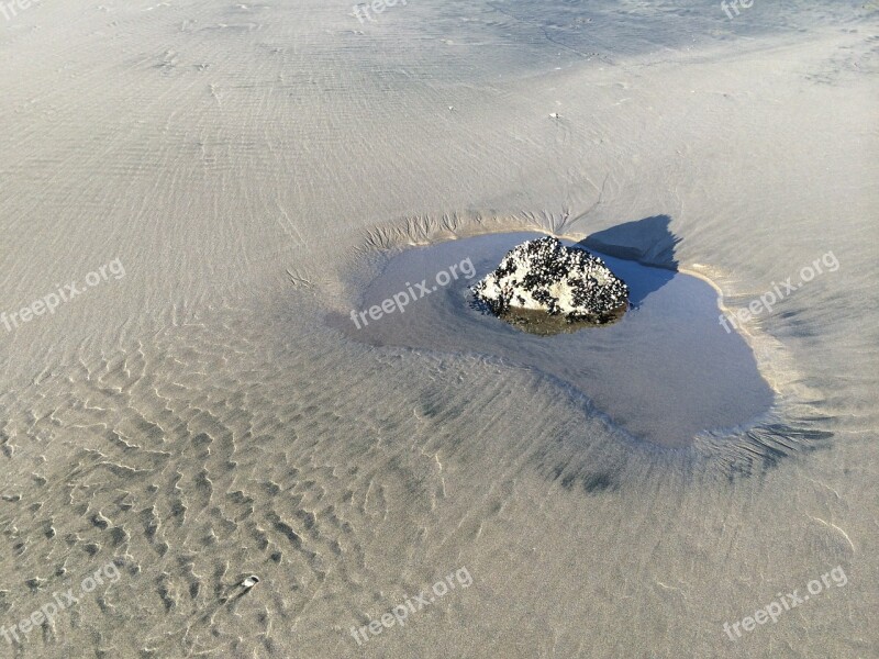 Sand Beach Coast Sandy Shore