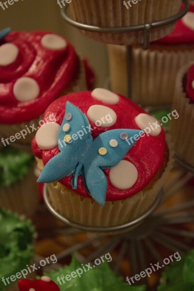 Cake Butterfly Icing Red Blue