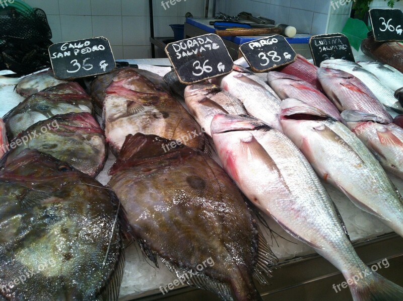 Fish Market Fish Food Market Sea Animals