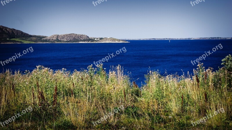 Blue Sea Nature Straw Landscape Sky