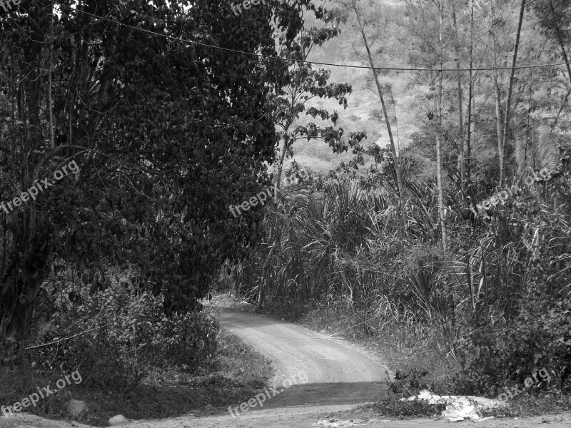 Colombia Rural Road Mountain Rural Landscape