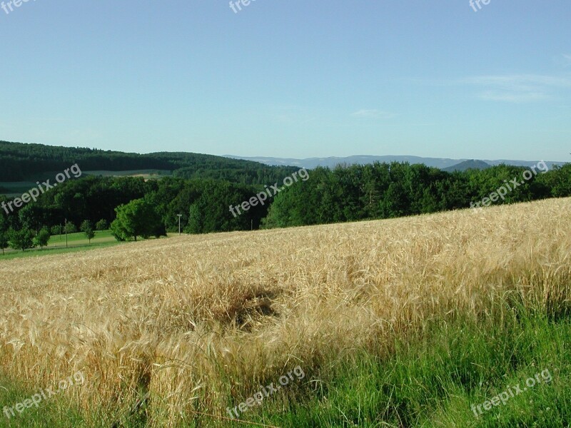 Hersberg Cornfield Basel-land Switzerland Wheat Field