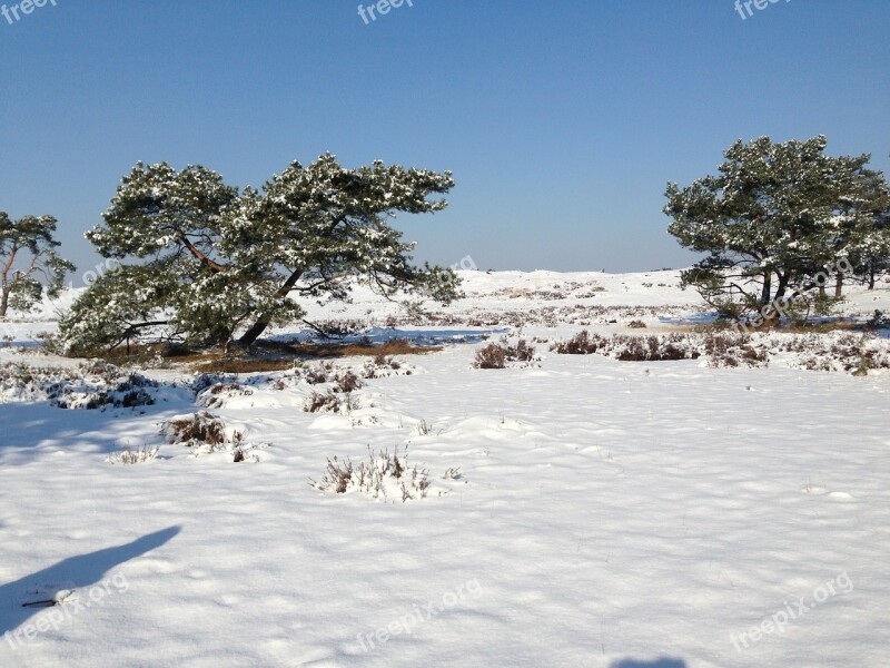 Snow Dutch Landscape Heide Winter