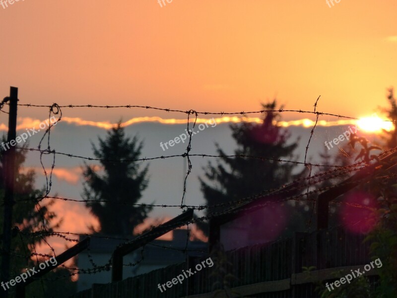 Freedom Wire Spikes Barbed Wire Bondage