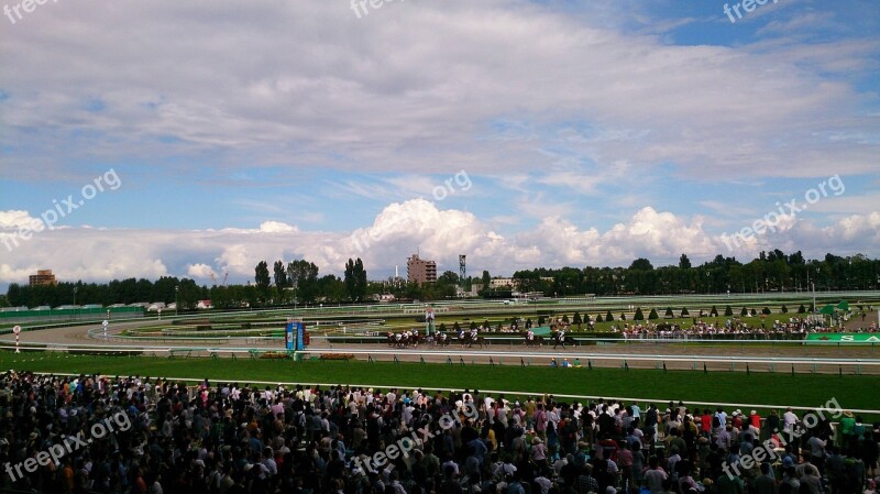 Racecourse Horse Racing Horse Gambling Free Photos