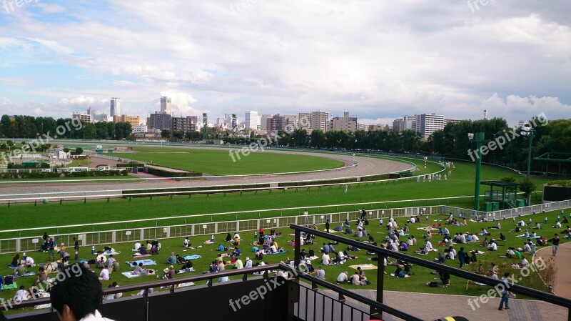 Racecourse Horse Racing Horse Gambling Free Photos