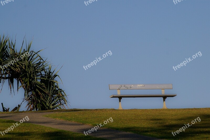 Bench Seat Horizon Palm Tree Sky