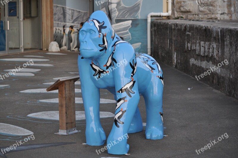 Arts Blue Gorilla Torbay Torquay