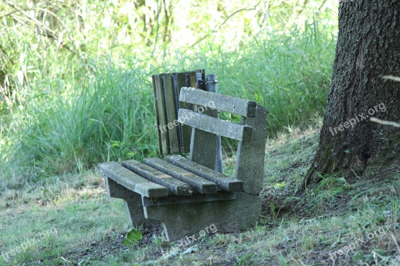 Bank Bench Nature Trees Green