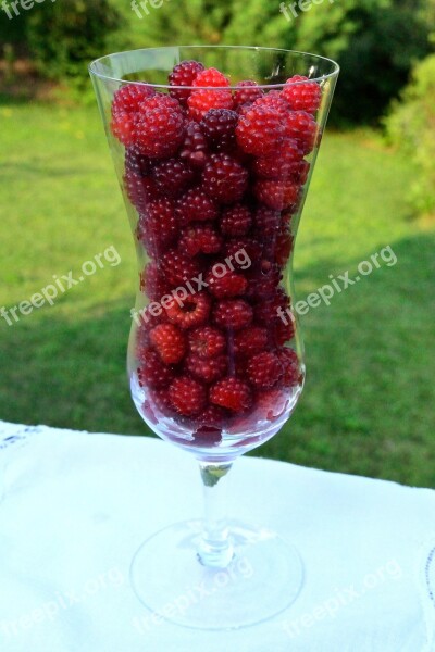 Raspberry Dessert Fruit Berry Red