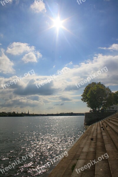 Rhine Rhine River Mainz Germany Nature