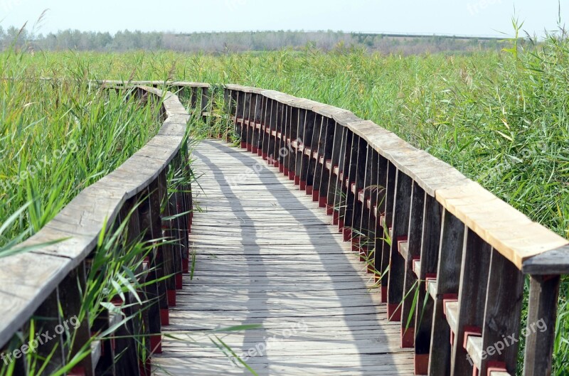 Zen Bridge Landscape Path Nature