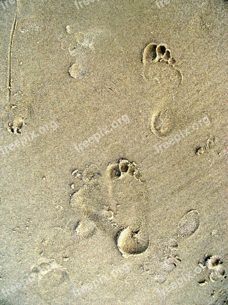 Footprints Footprint Beach Traces Water