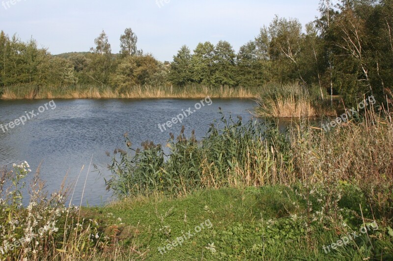 Lake Autumn Mood Walk Free Photos