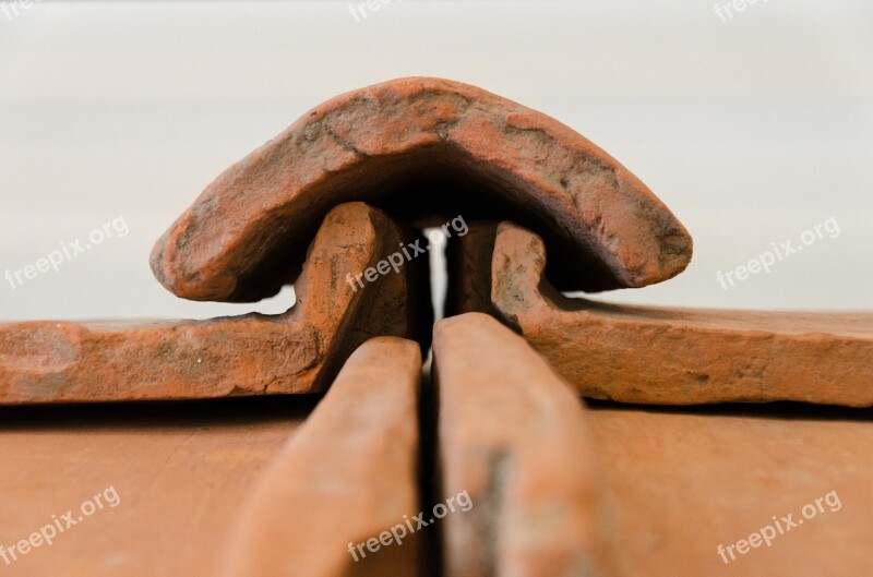 Roof Tiles Romans Museum Nijmegen Ancient Times