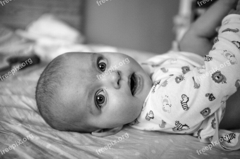 Baby Kid Infant Free Photos